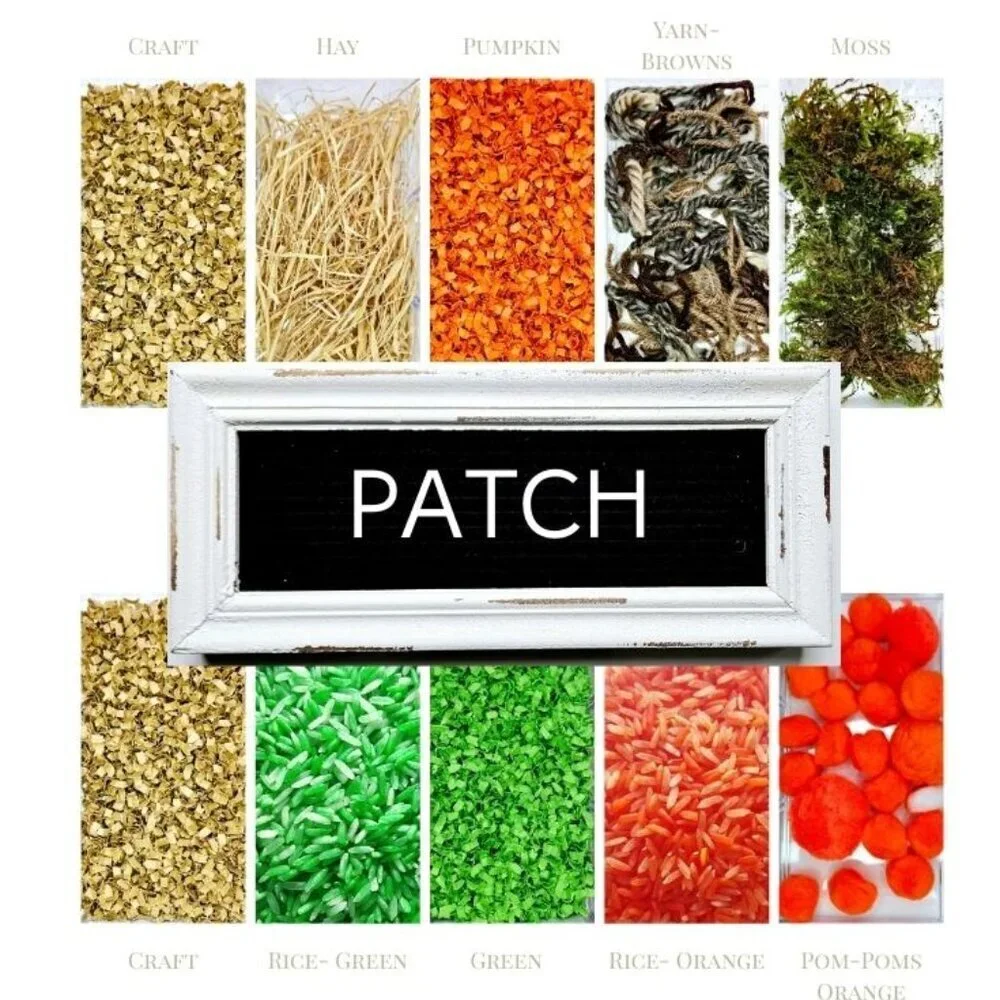 Sensory Bin | PUMPKIN PATCH | Educational Activity, Stim Toy, Toddler Gift Idea